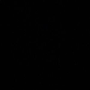 Meet your Posher, Daisy